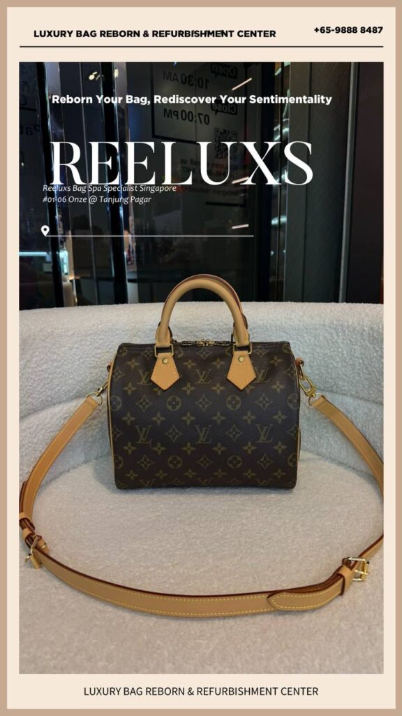 Louis Vuitton SPEEDY 25 MONOGRAM CANVAS WITH VACHETTA · SG