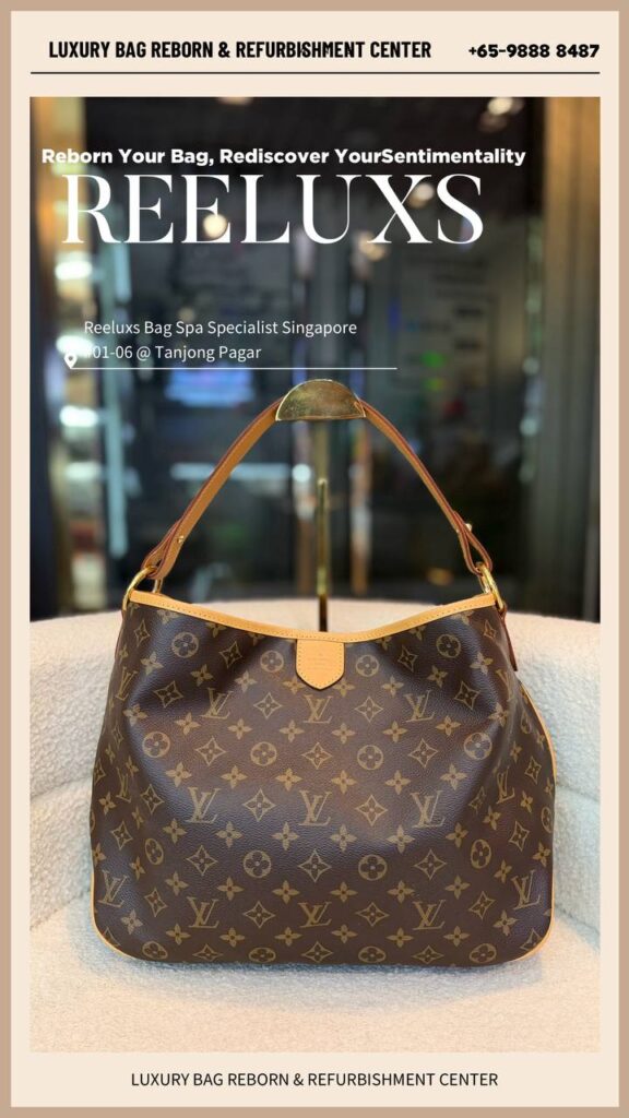 Delightful Vachetta Leather — frame 2